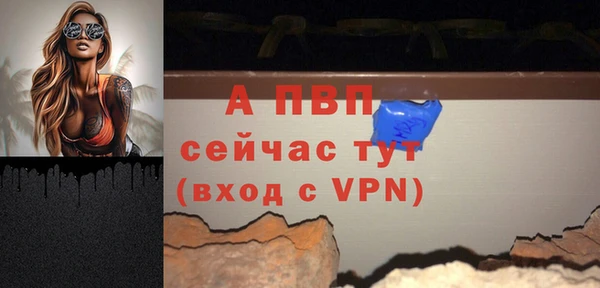 сатива Касимов