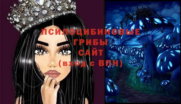 mdpv Карпинск