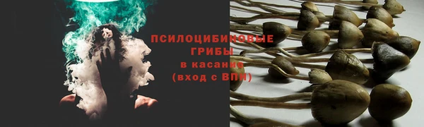 mdpv Карпинск