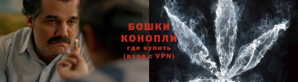 сатива Касимов