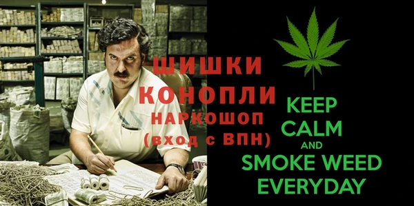 mdpv Карпинск